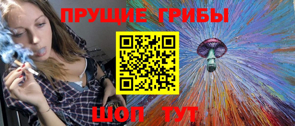 Алейск  Псилоцибиновые грибы мухоморы  Псилоцибиновые грибы Psilocybine cubensis  Вход с VPN 