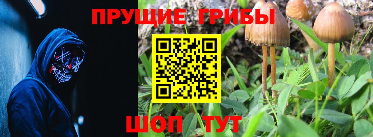 Марихуана  Вход с VPN  Алейск  Гашиш  Меф МЯУ МЯУ  